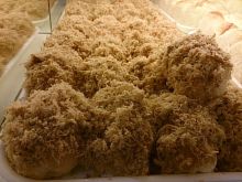 Meat Floss Bun.jpg