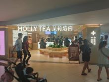 Molly Tea.jpg
