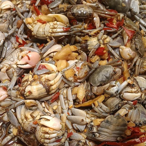 File:Drunk Crab.jpg