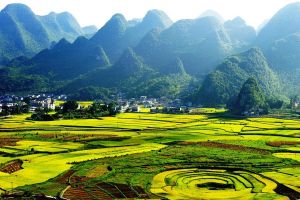 Guizhou Food