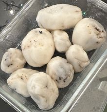 Tangyuan.jpg