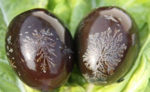 Century Eggs History